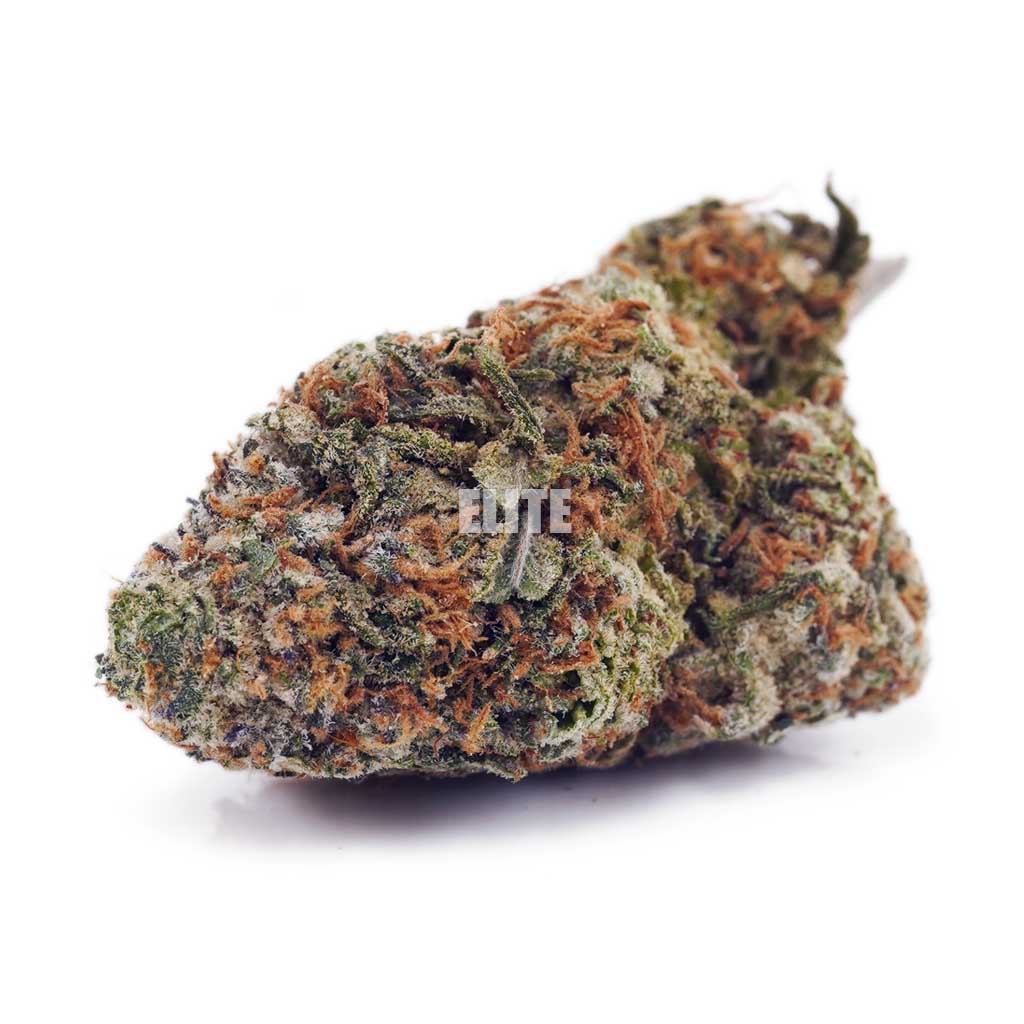 Watermelon Punch AAA - LSO Farm