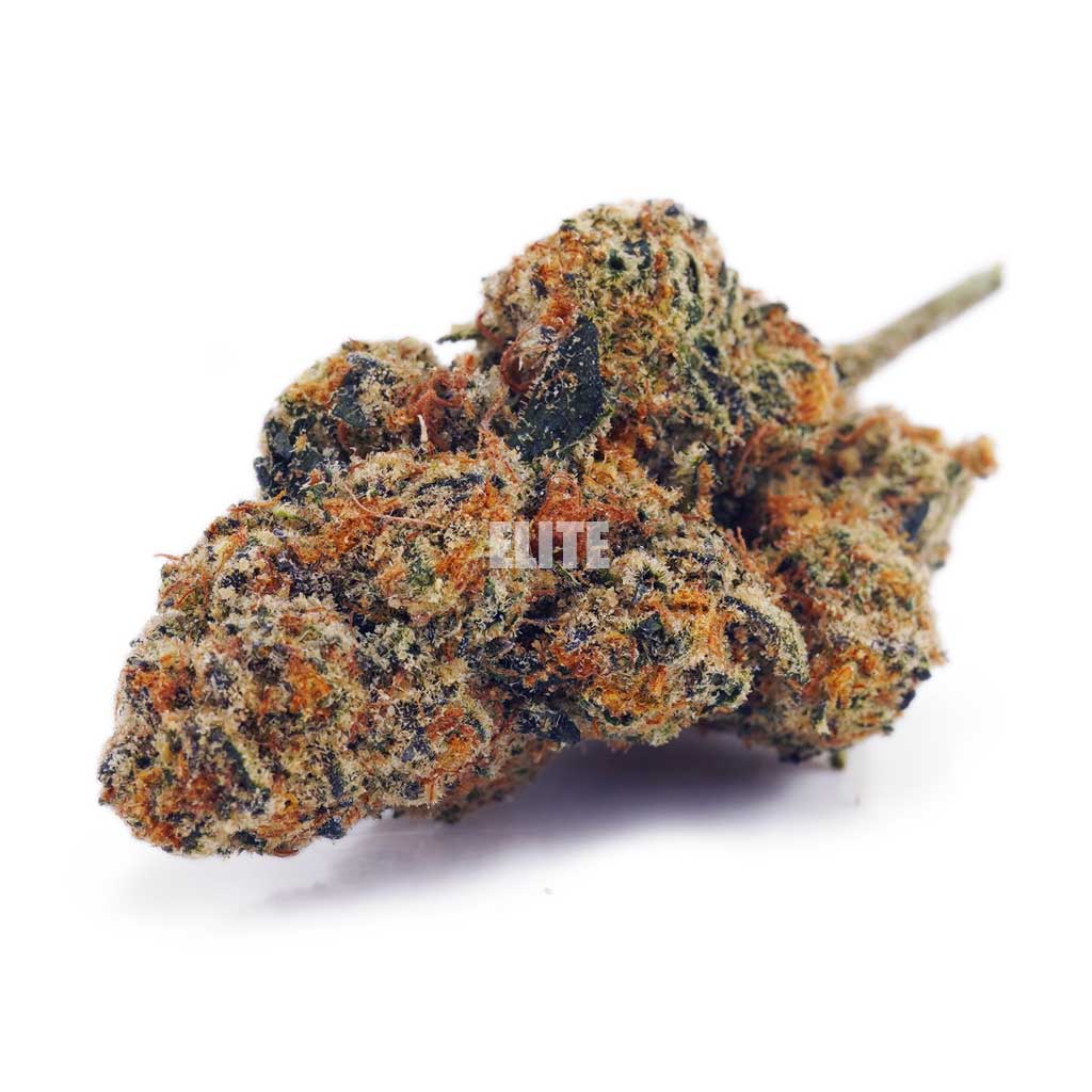 Papaya Punch AAA - High Grade