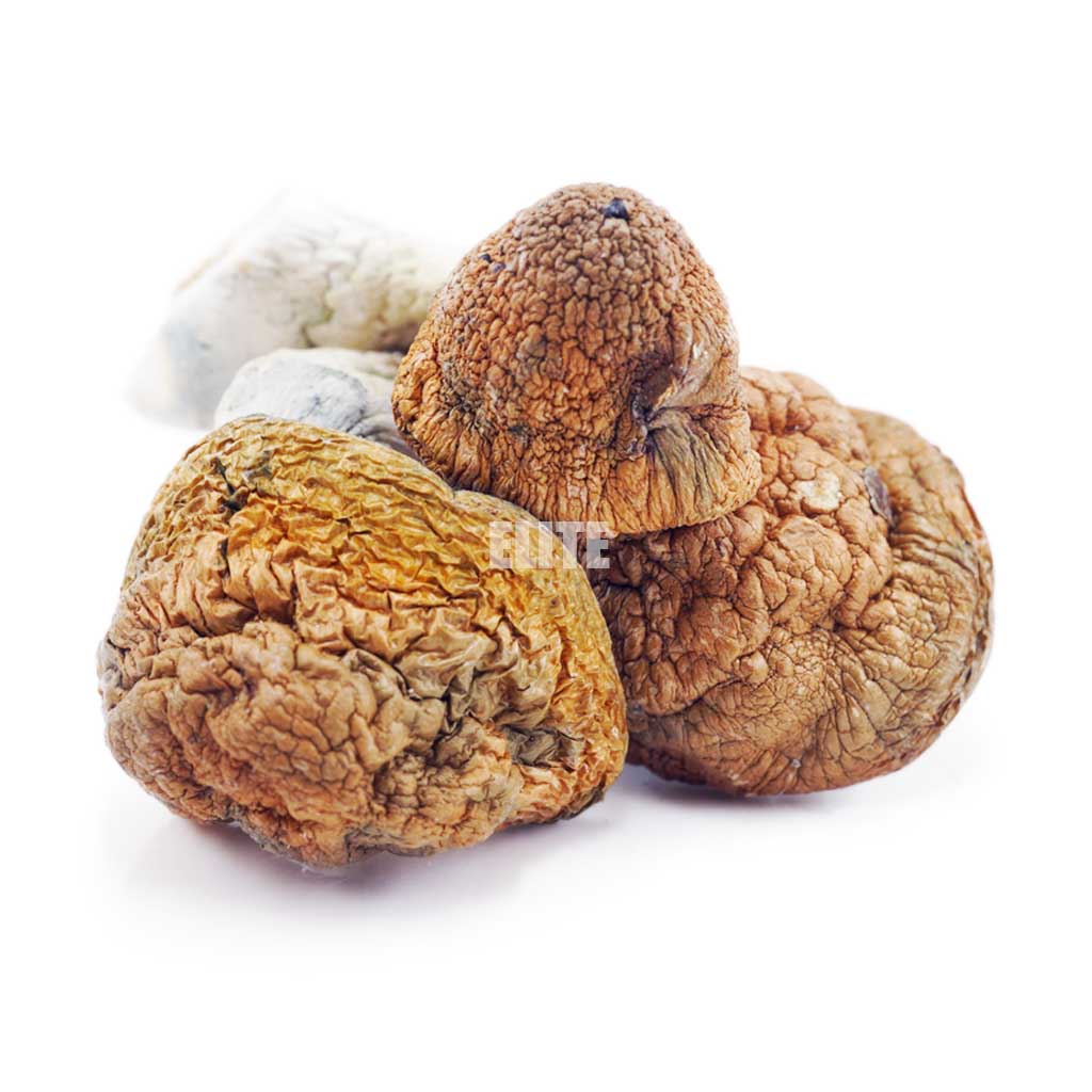 Mushroom - Blue Meanies