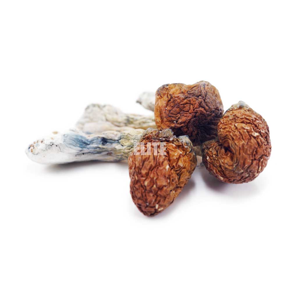 Mushroom - Jedi Mind Fuck