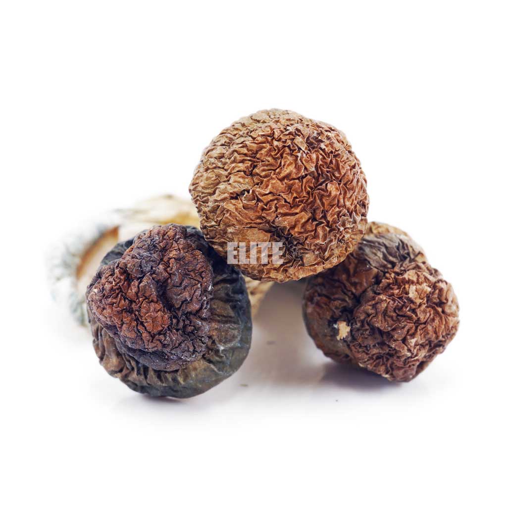 Mushroom - Penis Envy #6