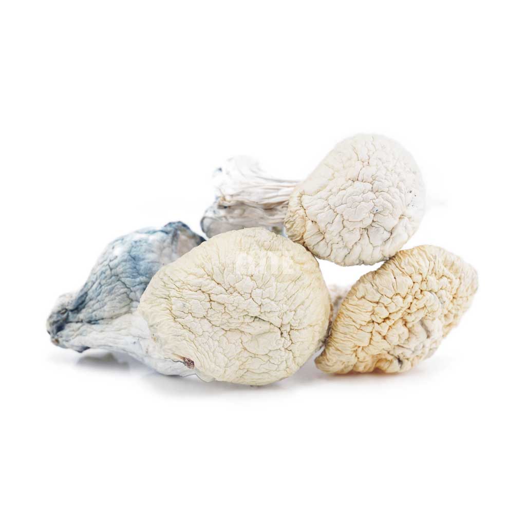 Mushroom - Snow White