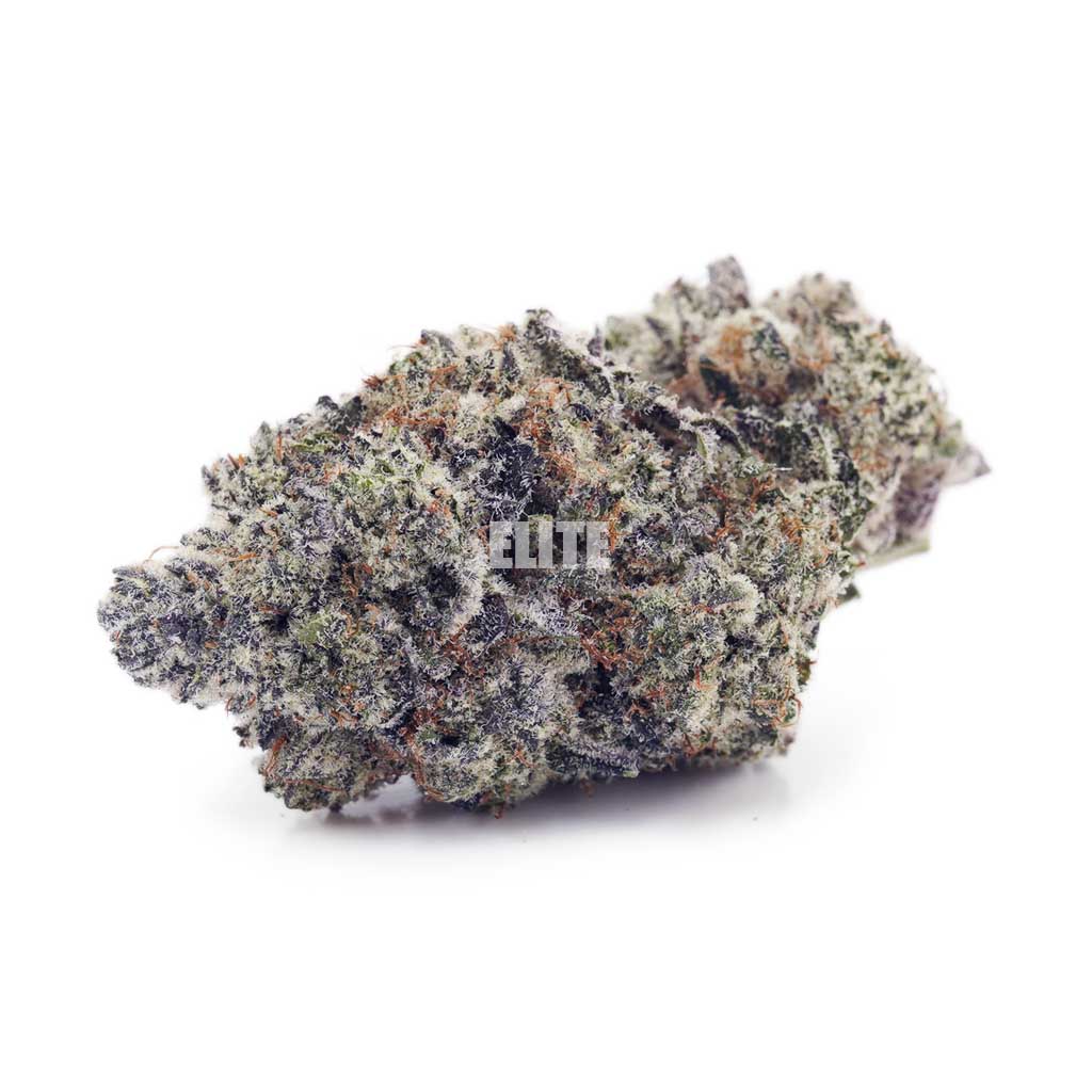 Laughing Buddha (Craft) - Quadzilla