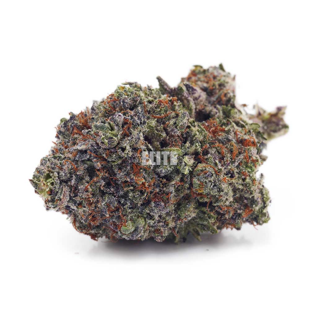 Amnesia Haze AAA -Terp Godz