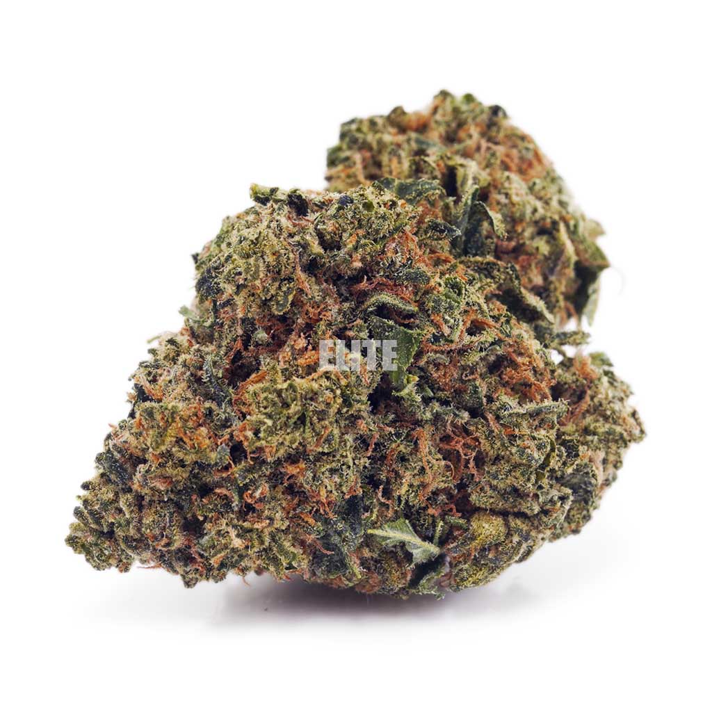 Godbud AA - Quads from the North