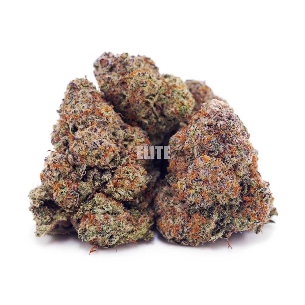 Buy Forum Cut Cookies at Elite Cannabis Online Shop