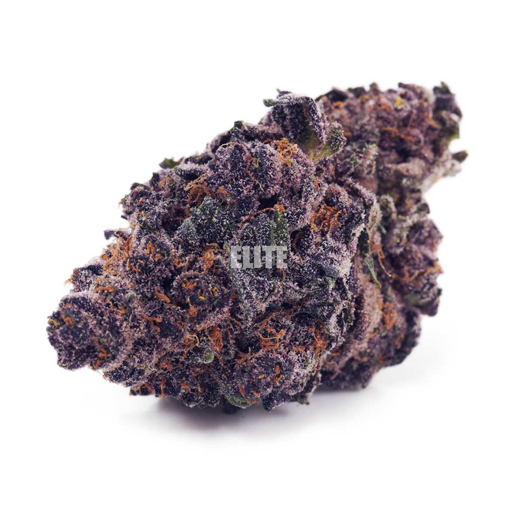 Buy Orange Creamsicle at Elite Cannabis Online Shop