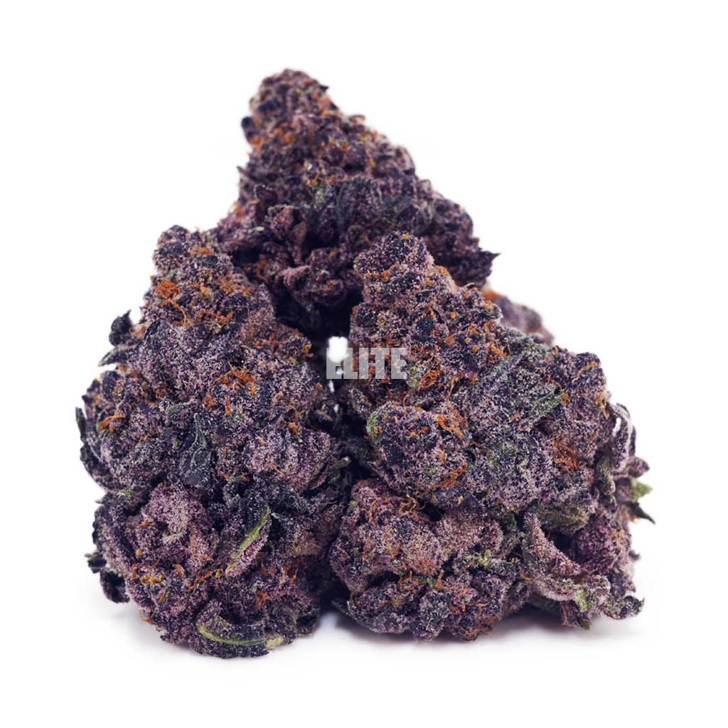 Buy Orange Creamsicle at Elite Cannabis Online Shop