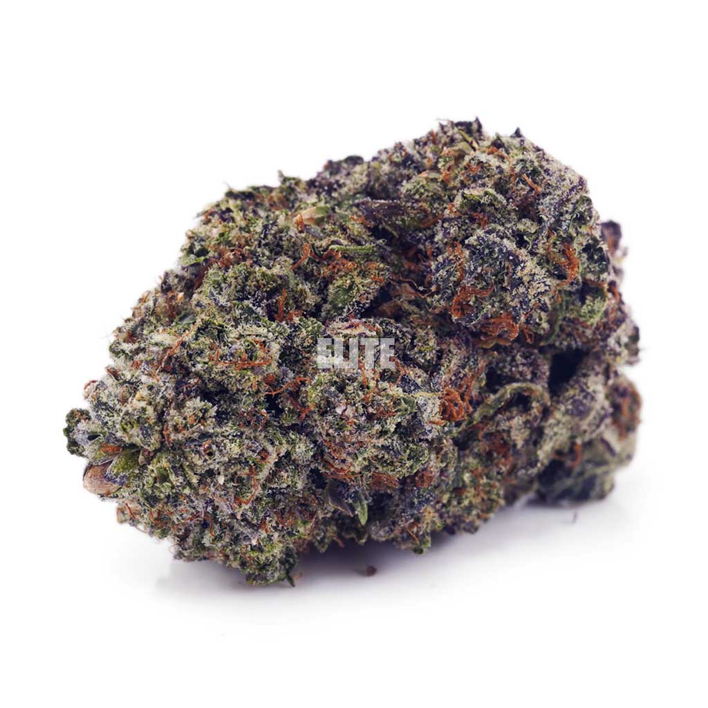 Buy Purple Afghan Haze at Elite Cannabis Online Shop