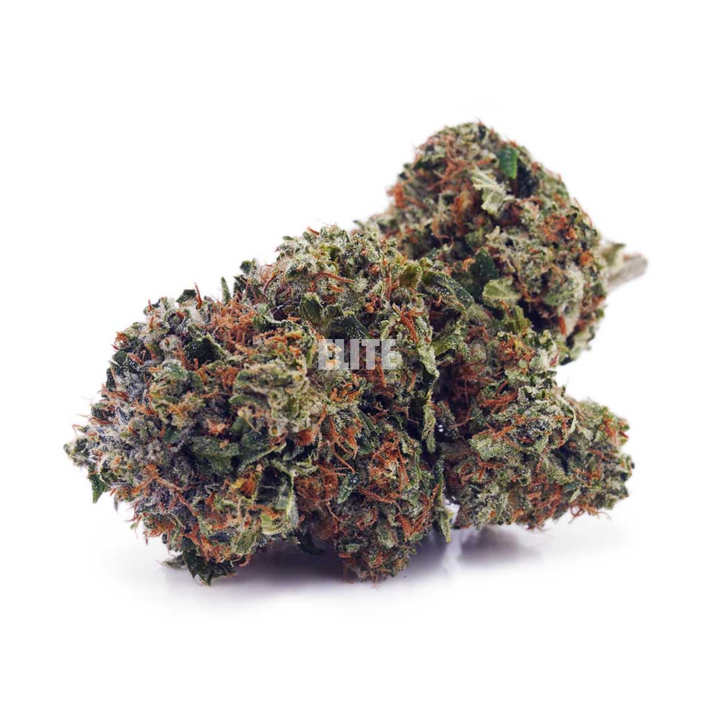 Buy Godfather OG at Elite Cannabis Online Shop