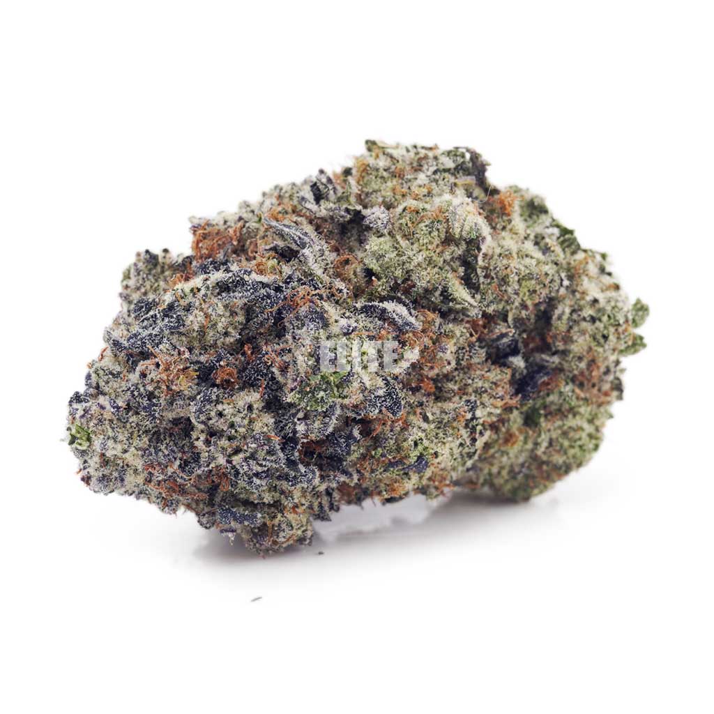 Buy Apple Fritter at Elite Cannabis Online Shop