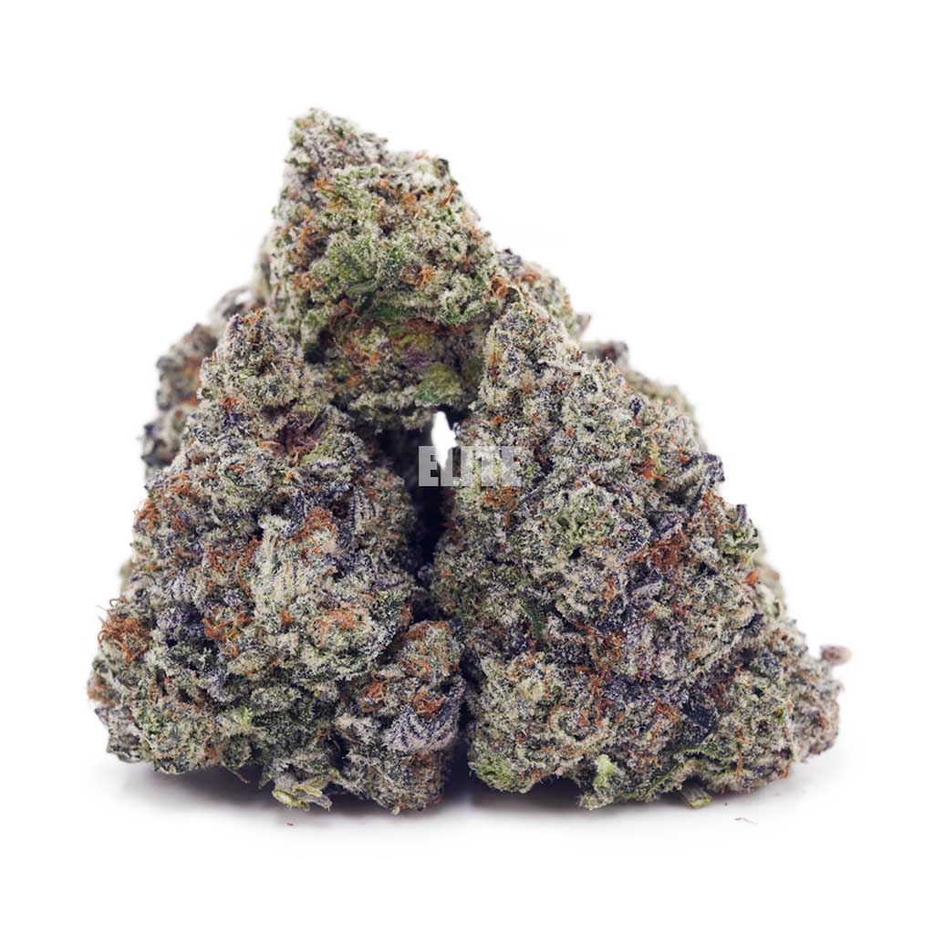 Buy Apple Fritter at Elite Cannabis Online Shop