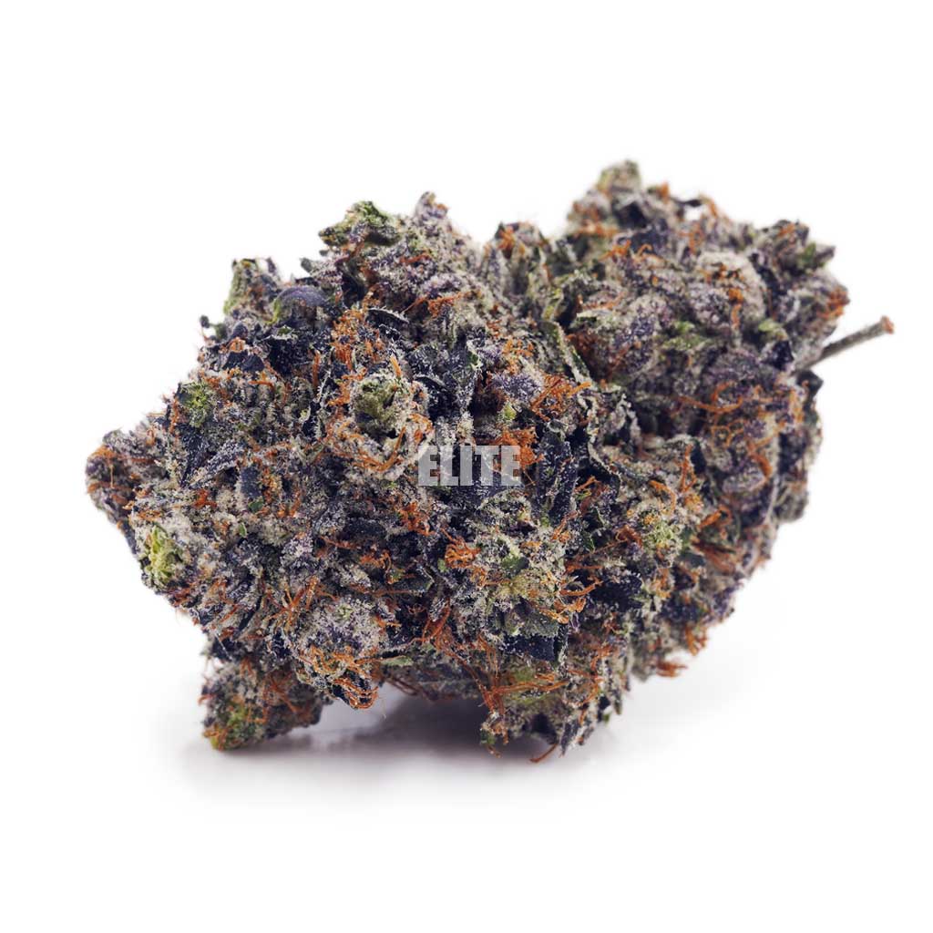 Buy Pink Rob Ford at Elite Cannabis Online Shop