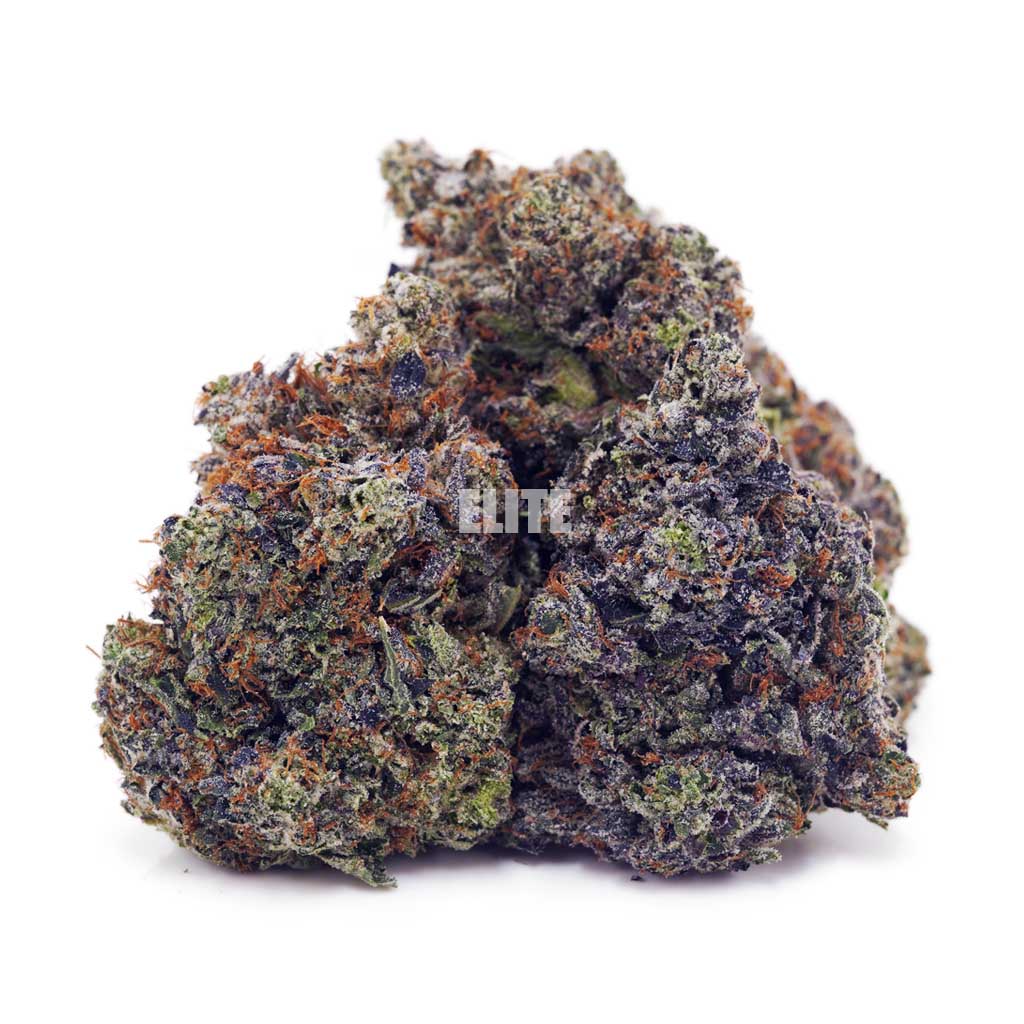 Buy Pink Rob Ford at Elite Cannabis Online Shop
