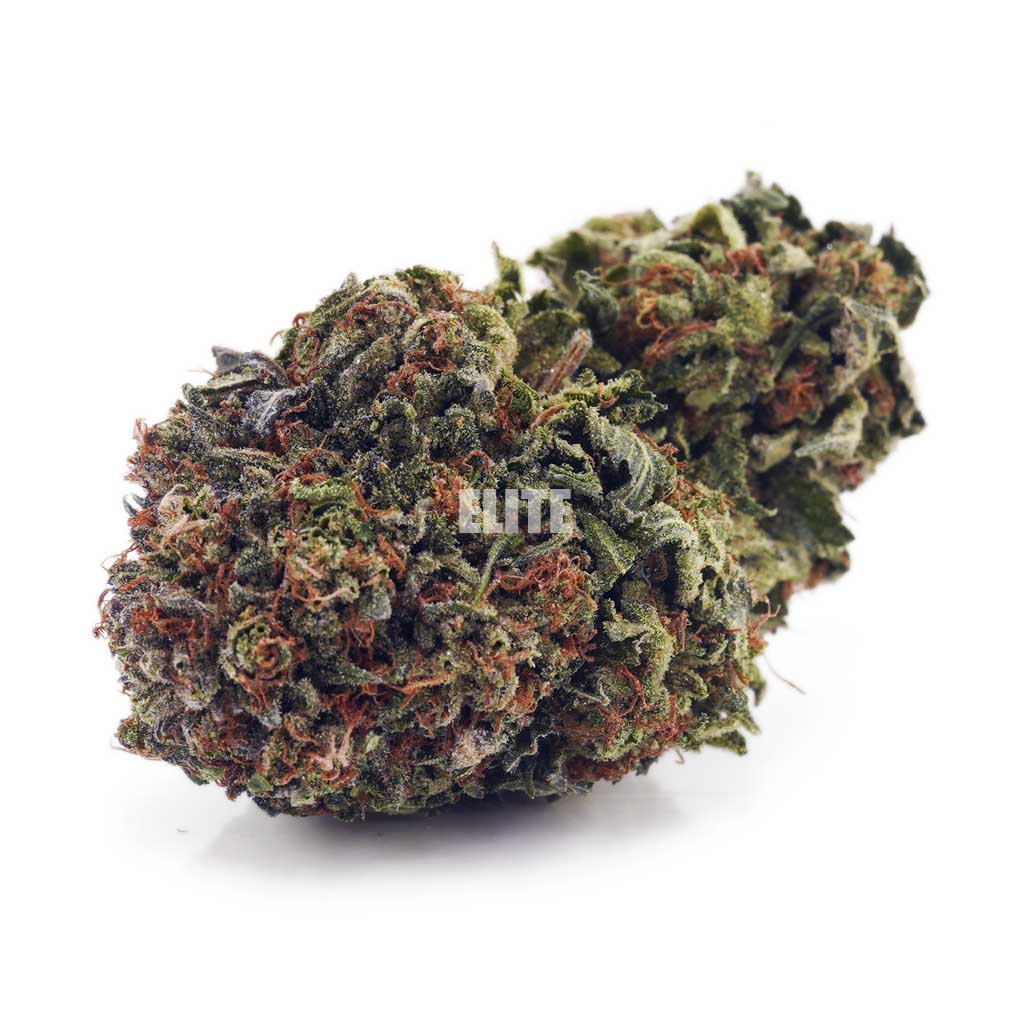 Rockstar AA (Gas)