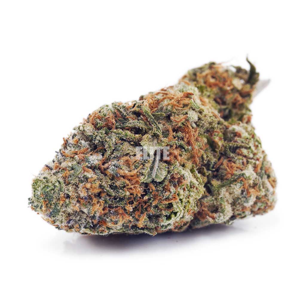 Gelato #33 AAA