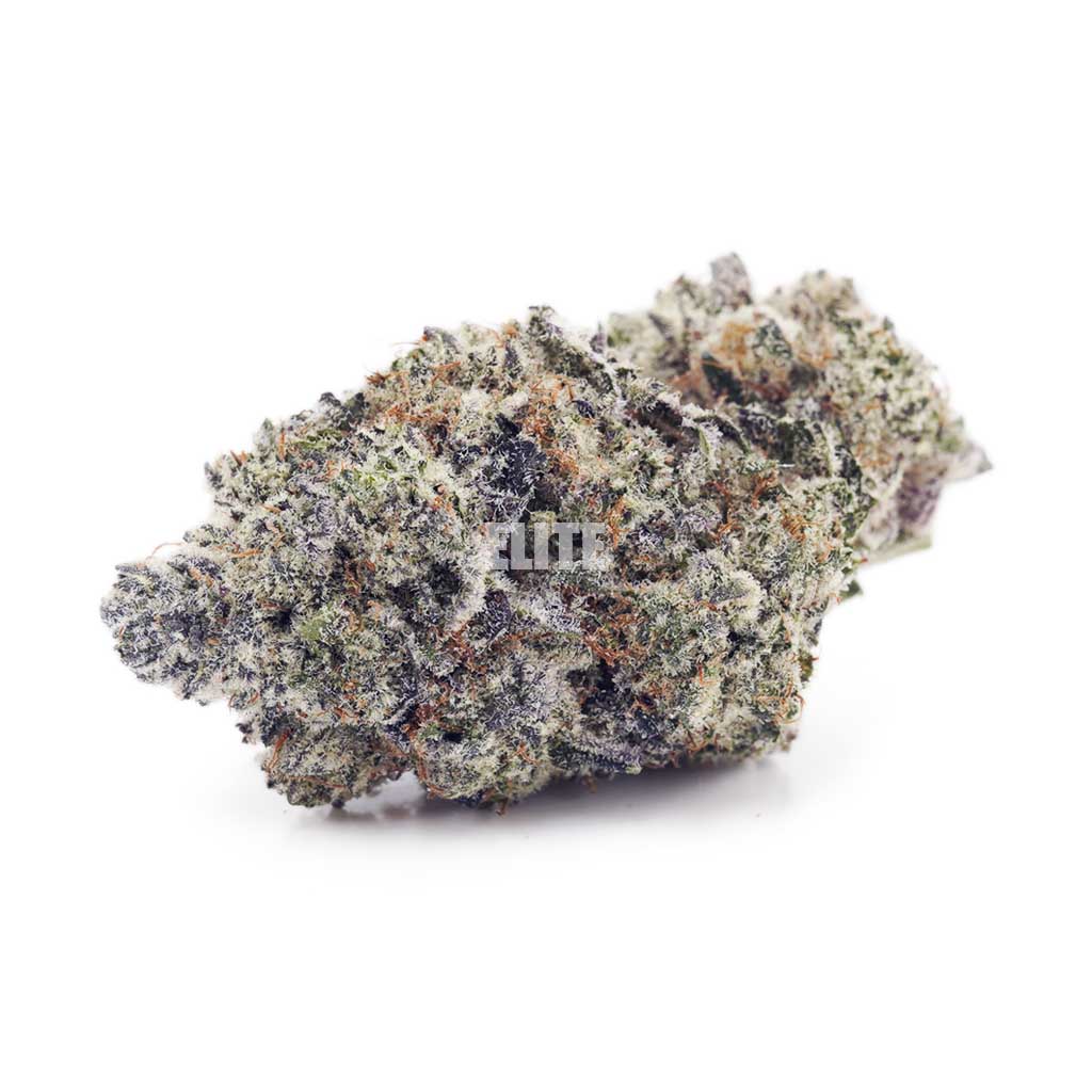 Apple Fritter (Craft)