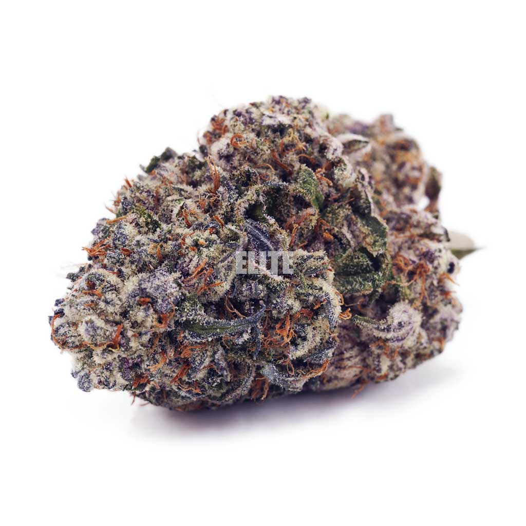 Buy Platinum Cookies at Elite Cannabis Online Shop