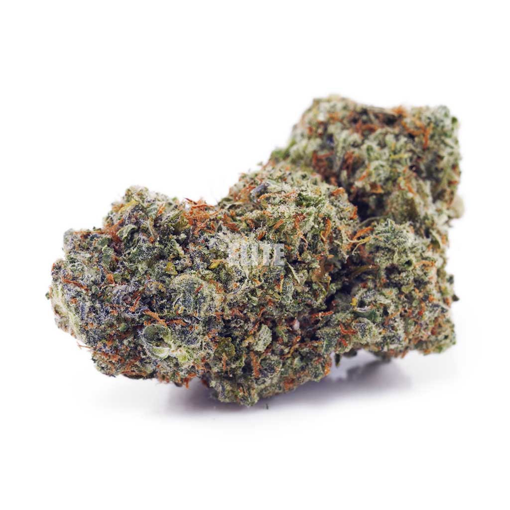 Buy Mataro Blue at Elite Cannabis Online Shop