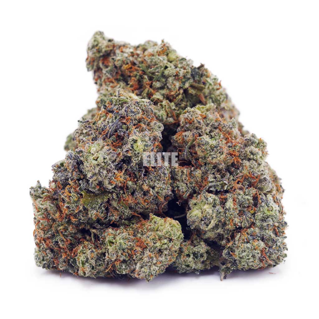 Buy Mataro Blue at Elite Cannabis Online Shop