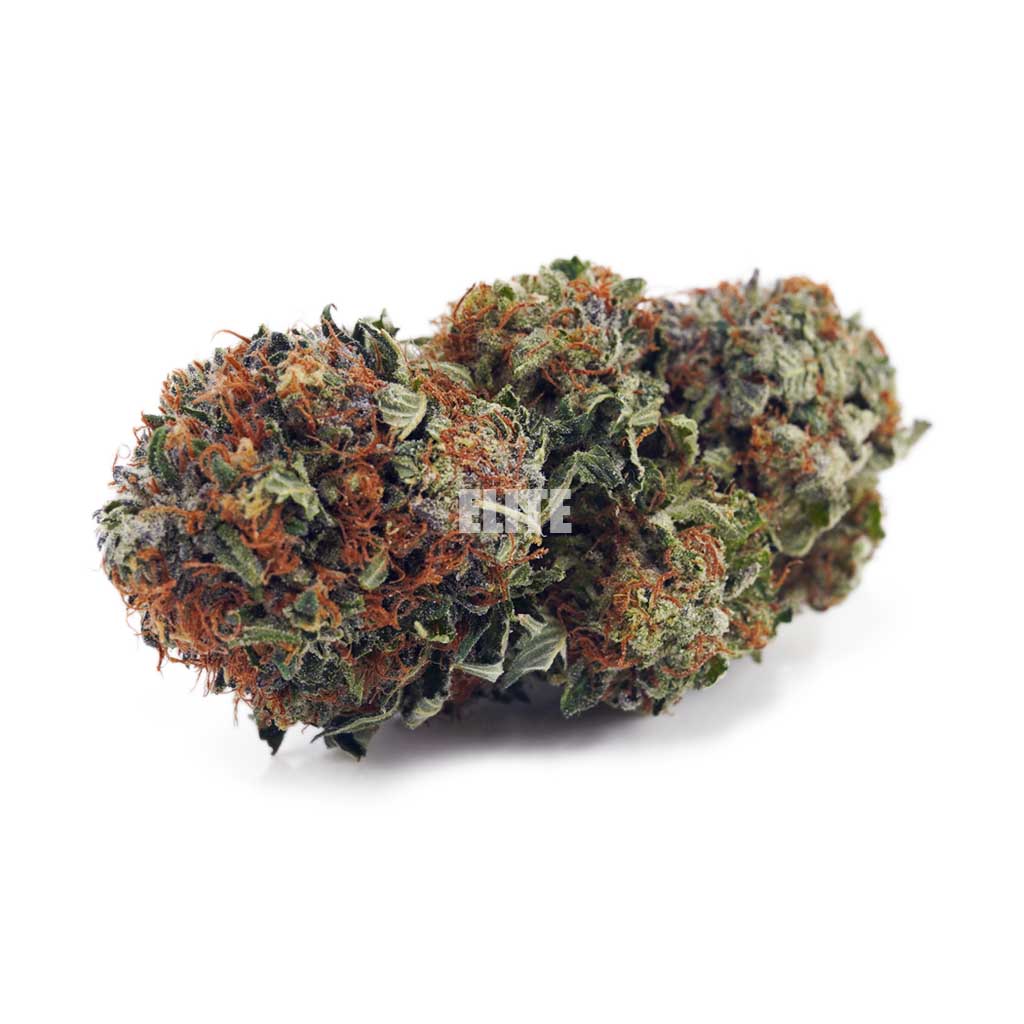 Buy Master Jedi at Elite Cannabis Online Shop