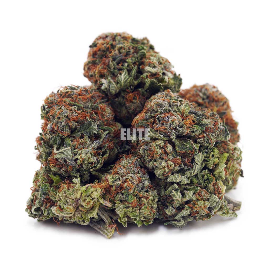 Buy Master Jedi at Elite Cannabis Online Shop