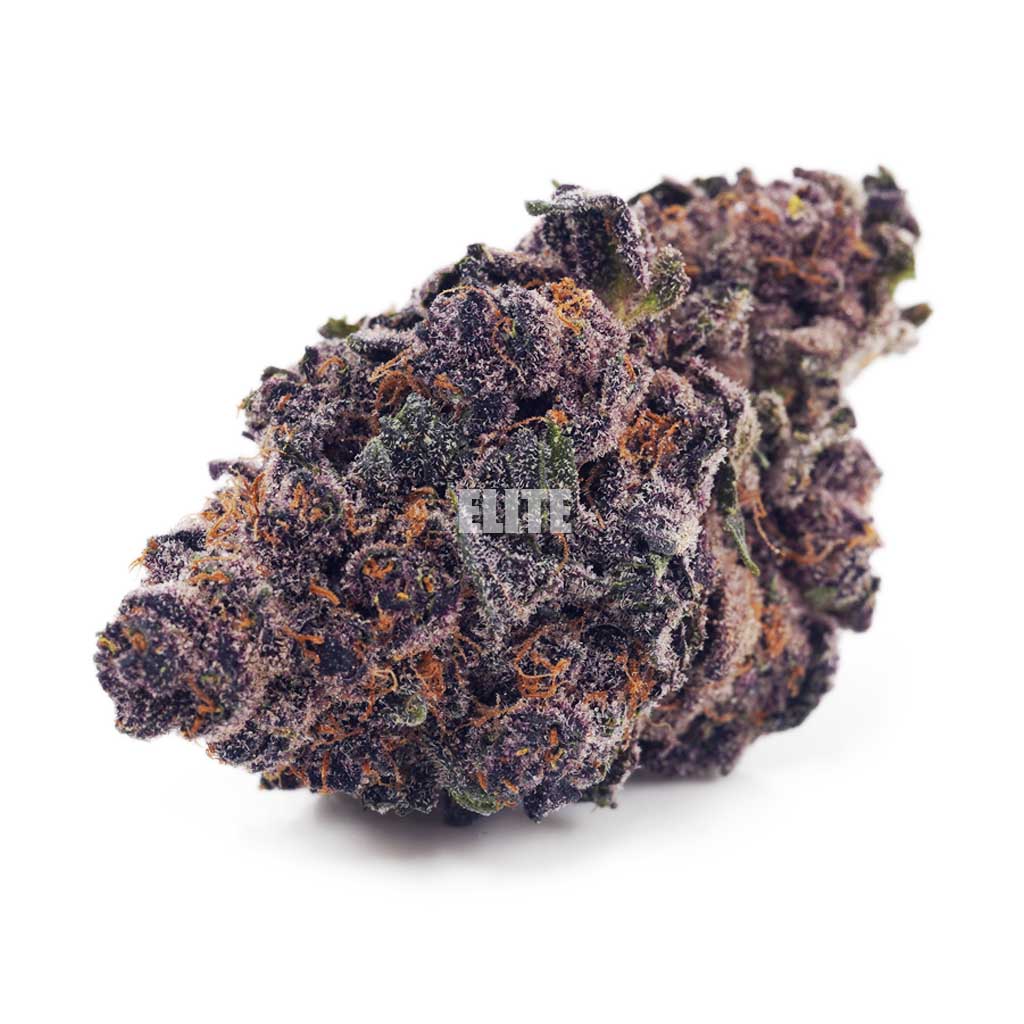 Tangerine Dream AAAA