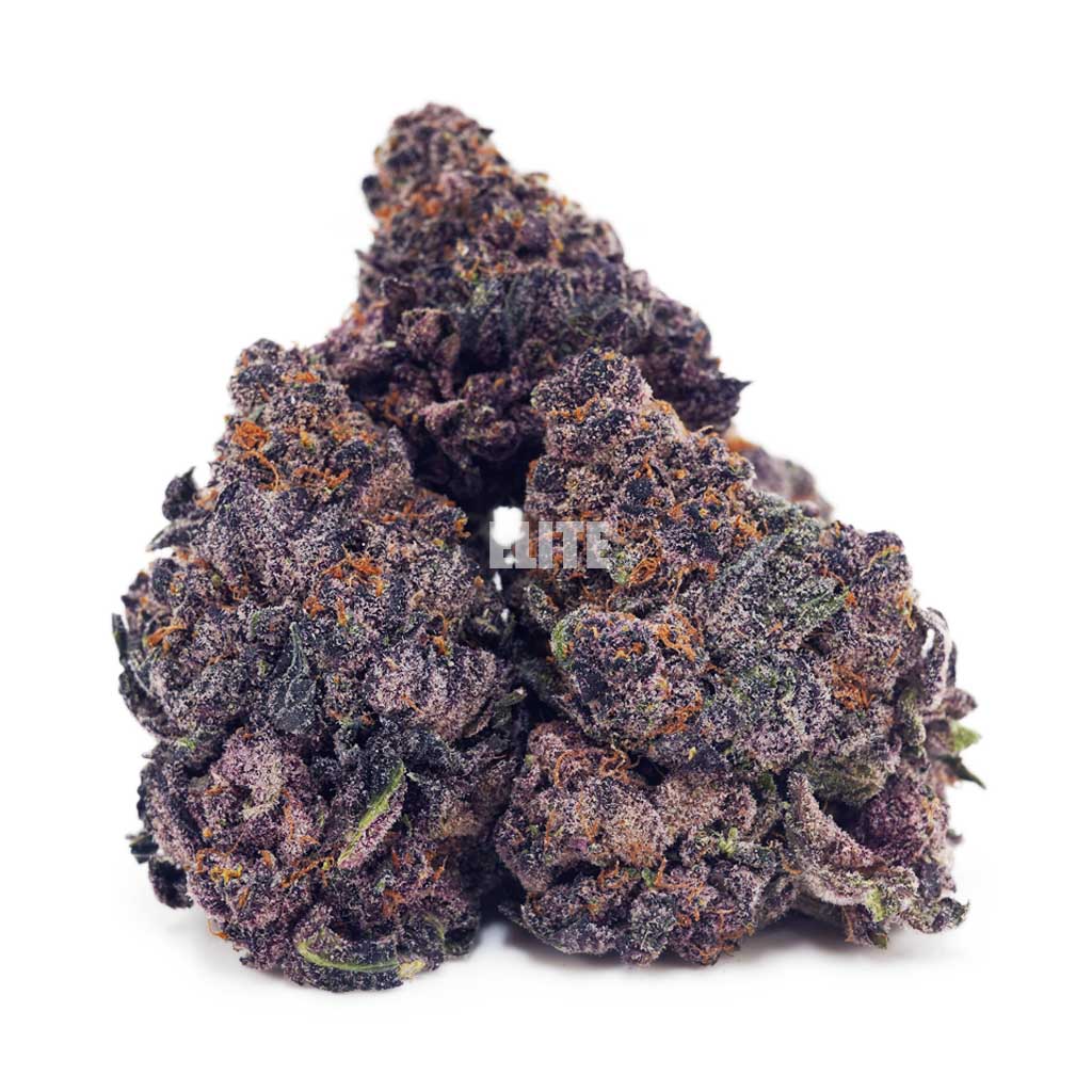 Tangerine Dream AAAA - Image 2