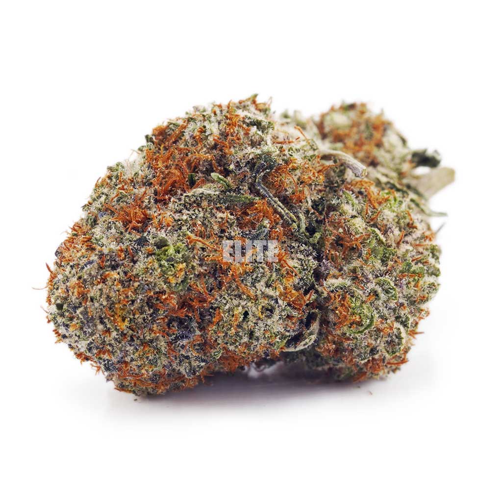Acapulco Gold AAA