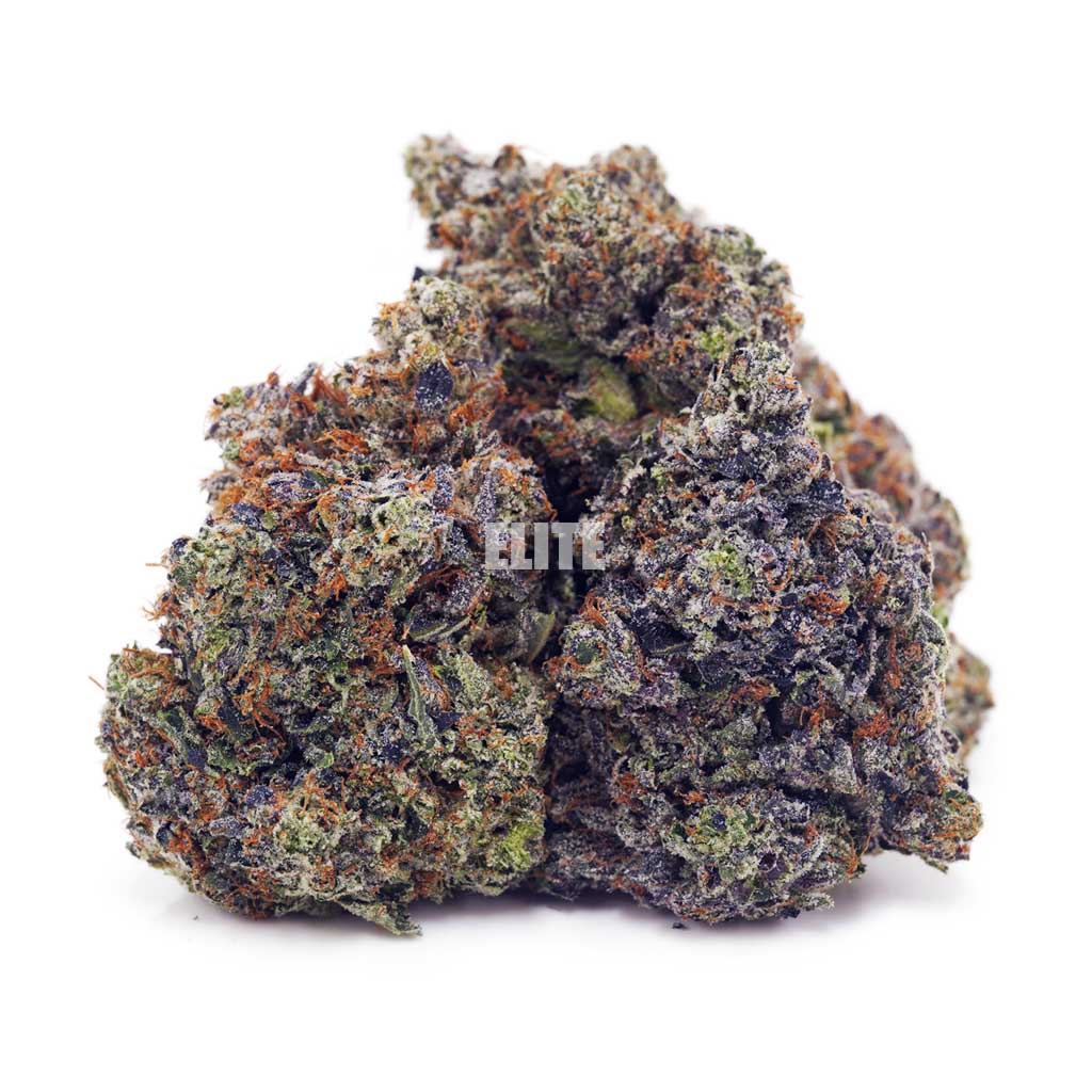 Tom Ford (Gas) - Craft - Image 2
