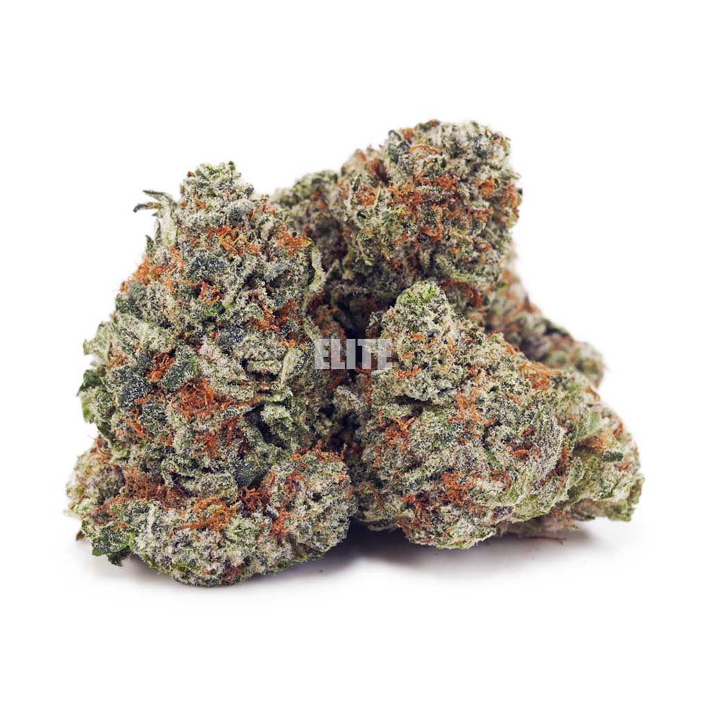 Ghost Breath AAA - Image 2