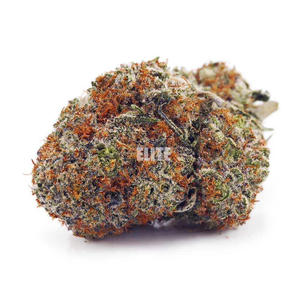 Blue Magoo Cookies AAA