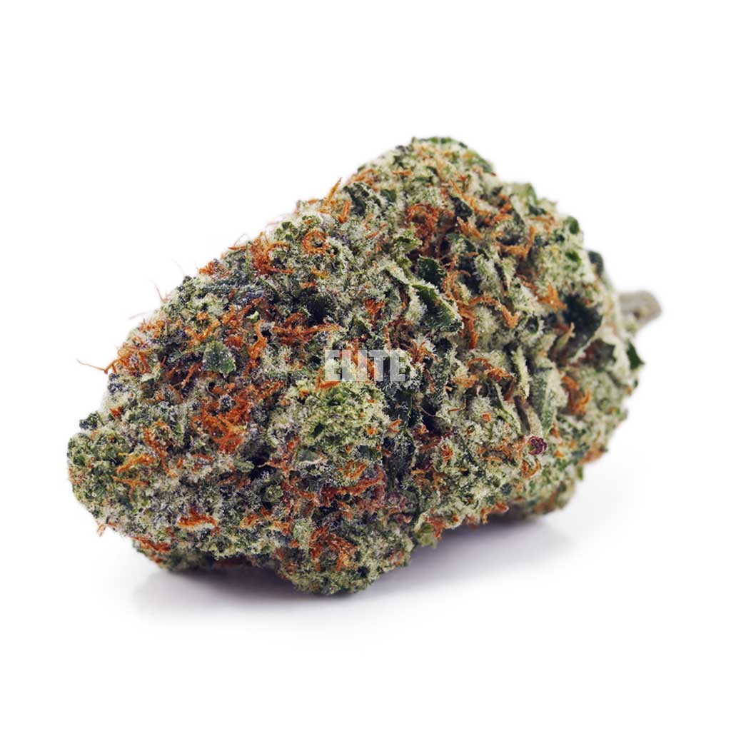 Blackberry OG AA