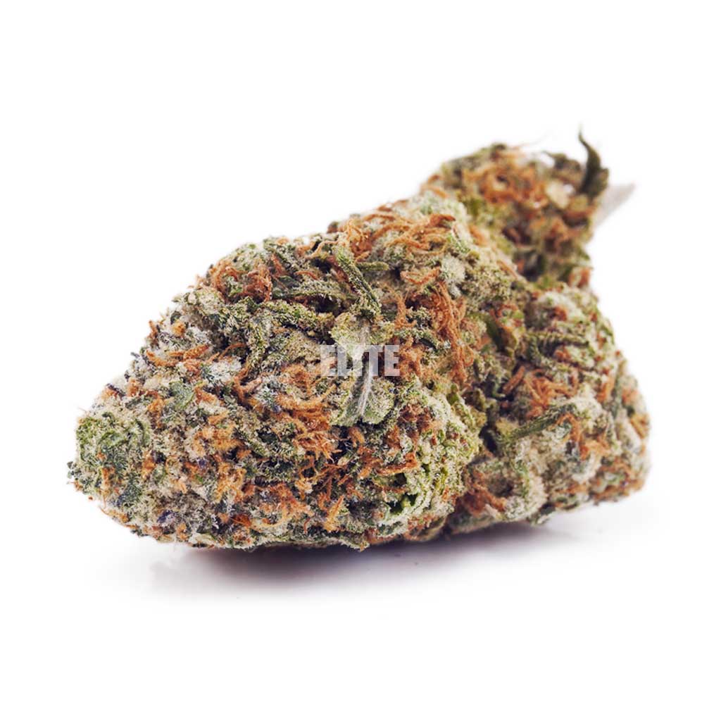Mendo Cookies AA