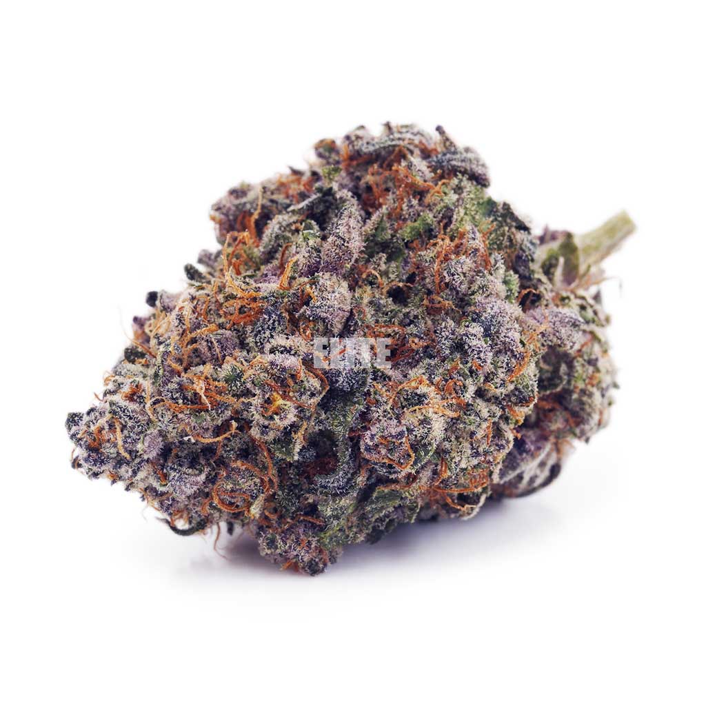 Chocolate Kush AAA